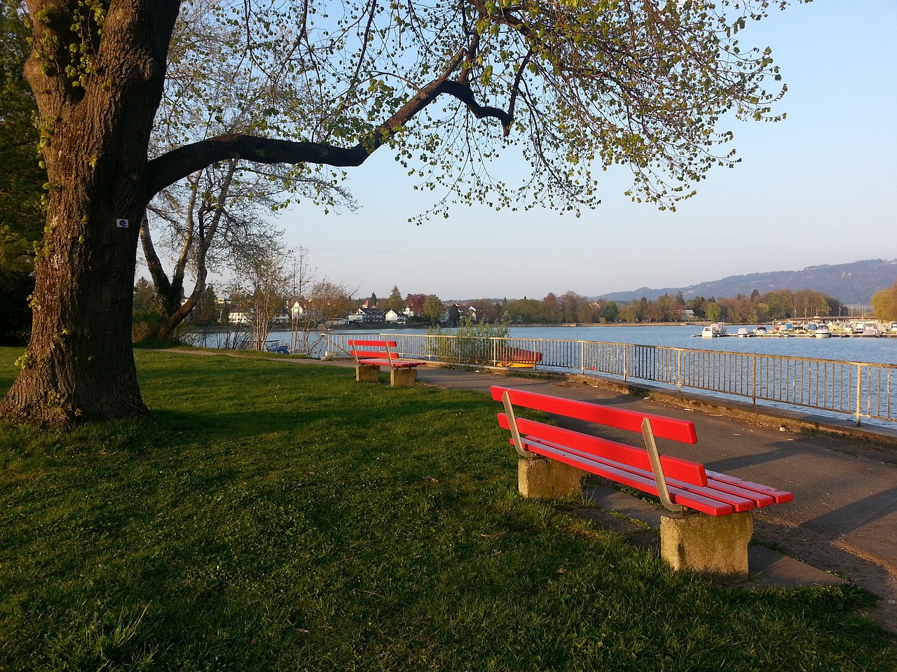 他的到来将 他的到来将