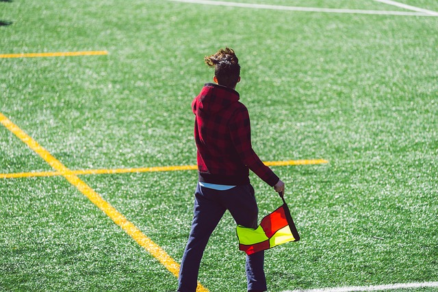 賦和穩定性 賦和穩定性